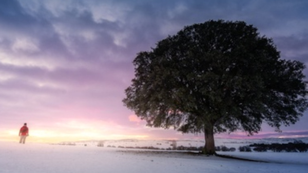 Identités sans limites : quand le moi déborde le commun