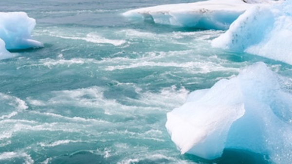 Pourquoi Ecologie et Libertés